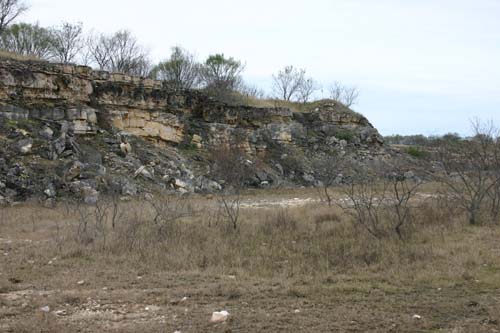 A low grassy slope with a lone tree